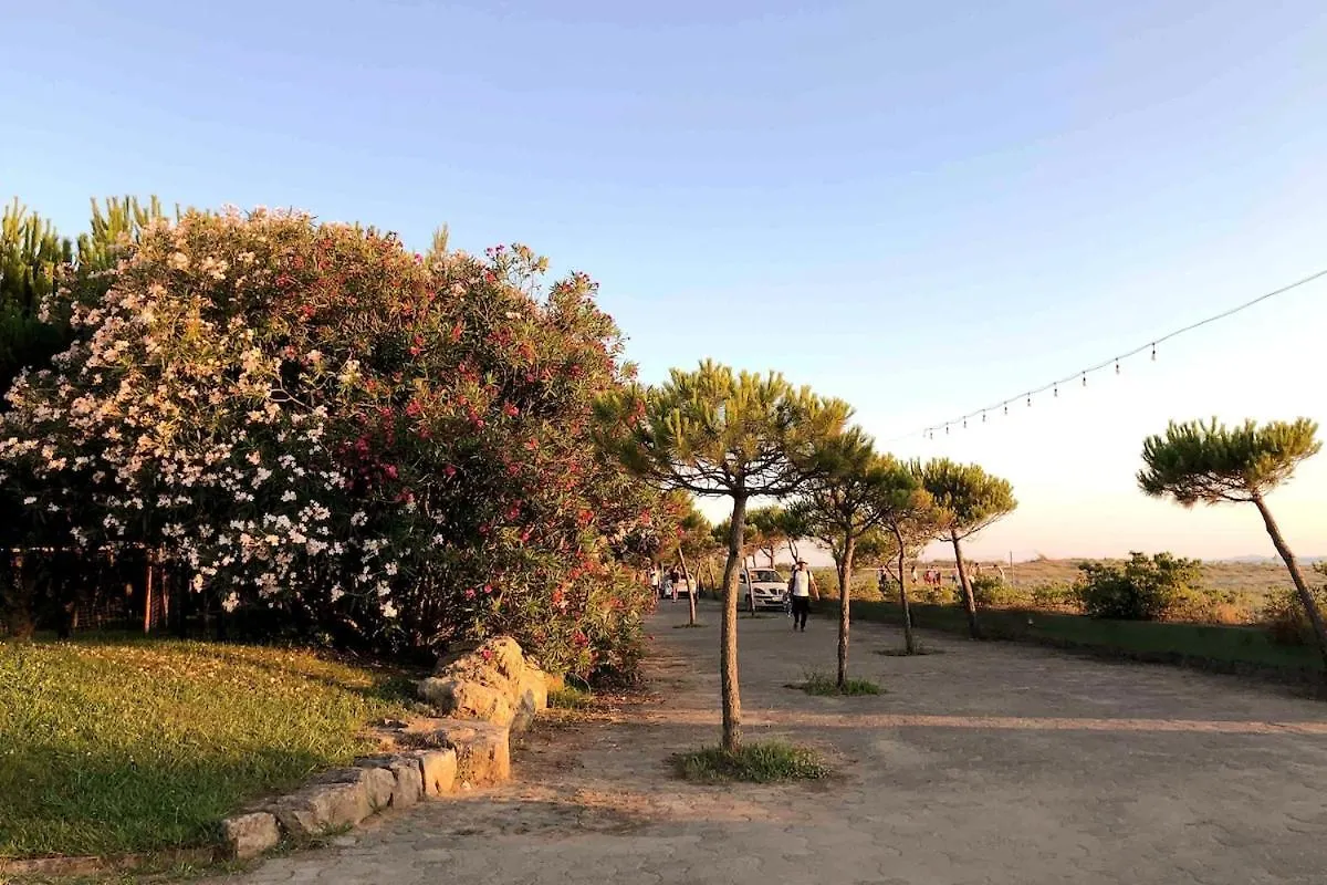 Seaside Villa With Private Yard On Adriatic Coast Hamallaj