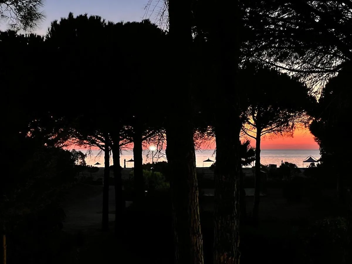 Seaside Villa With Private Yard On Adriatic Coast Hamallaj