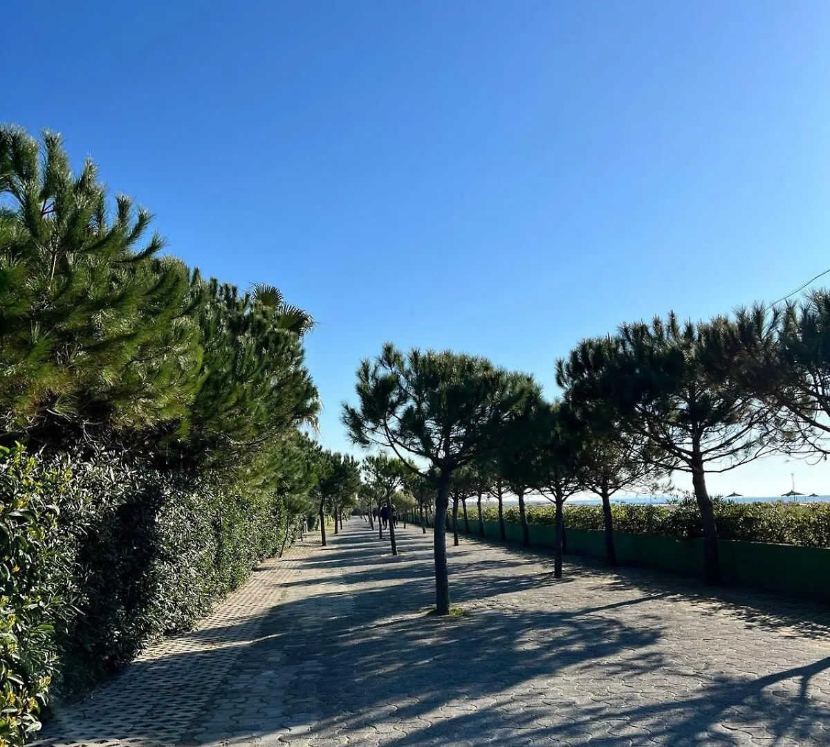 Seaside Villa With Private Yard On Adriatic Coast Hamallaj Albania
